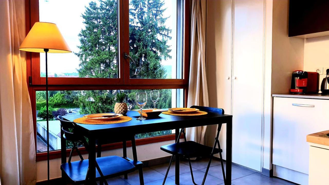 Le Bellevue A 10Min Du Centre A Pied Apartment Annecy Exterior photo